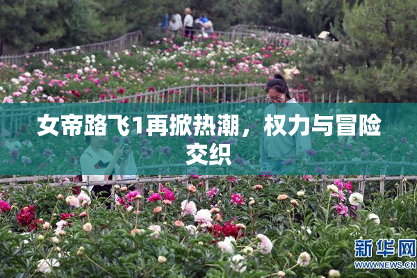 女帝路飞1再掀热潮，权力与冒险交织