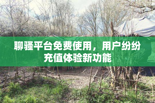 聊骚平台免费使用，用户纷纷充值体验新功能