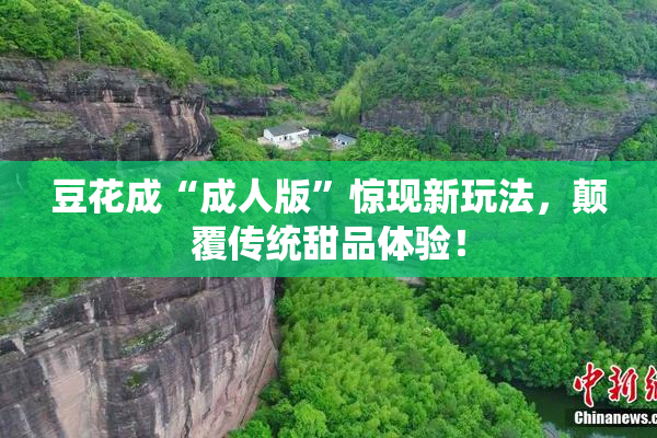 豆花成“成人版”惊现新玩法，颠覆传统甜品体验！