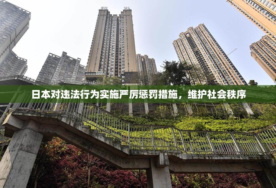 日本对违法行为实施严厉惩罚措施，维护社会秩序