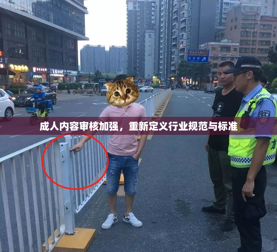 成人内容审核加强，重新定义行业规范与标准