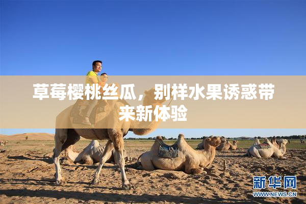 草莓樱桃丝瓜，别样水果诱惑带来新体验