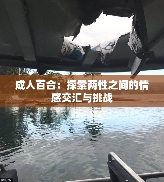 成人百合：探索两性之间的情感交汇与挑战