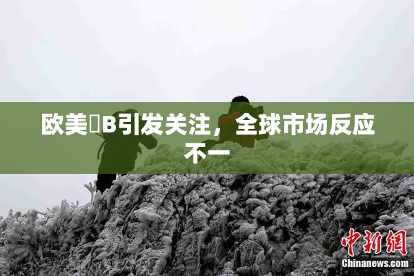 欧美槡B引发关注，全球市场反应不一