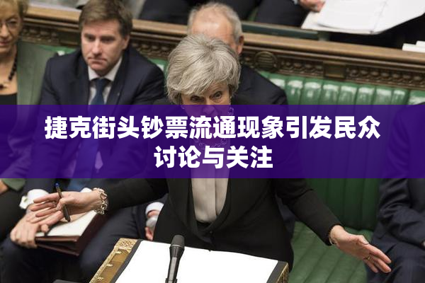 捷克街头钞票流通现象引发民众讨论与关注