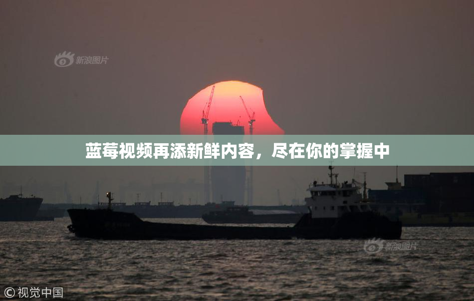 蓝莓视频再添新鲜内容，尽在你的掌握中