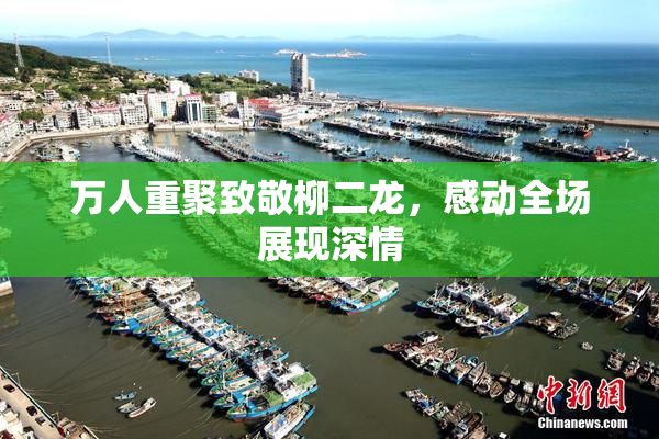 万人重聚致敬柳二龙，感动全场展现深情