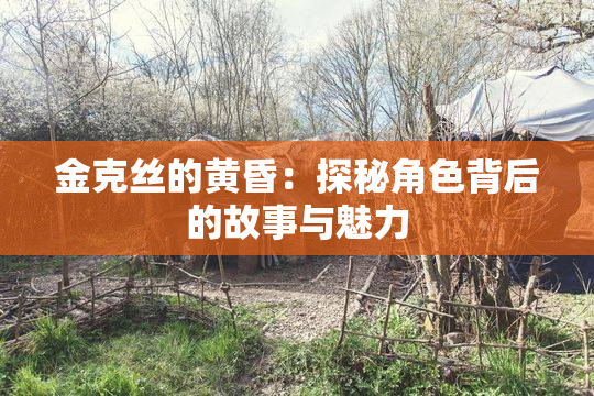 金克丝的黄昏：探秘角色背后的故事与魅力