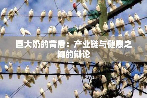 巨大奶的背后：产业链与健康之间的辩论