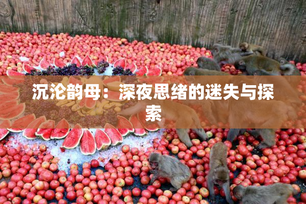沉沦韵母：深夜思绪的迷失与探索