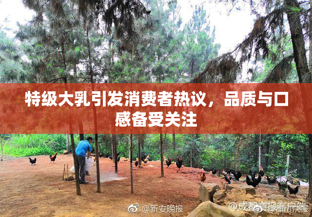 特级大乳引发消费者热议，品质与口感备受关注