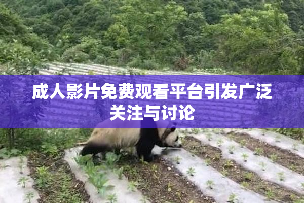 成人影片免费观看平台引发广泛关注与讨论