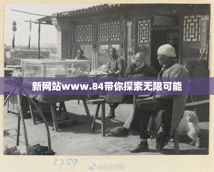 新网站www.84带你探索无限可能