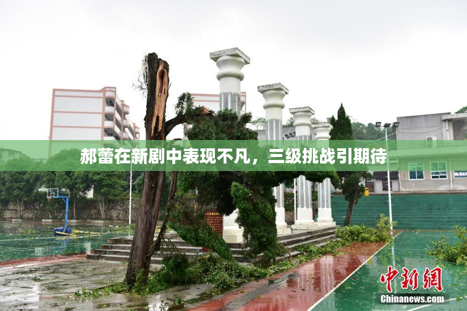 郝蕾在新剧中表现不凡，三级挑战引期待