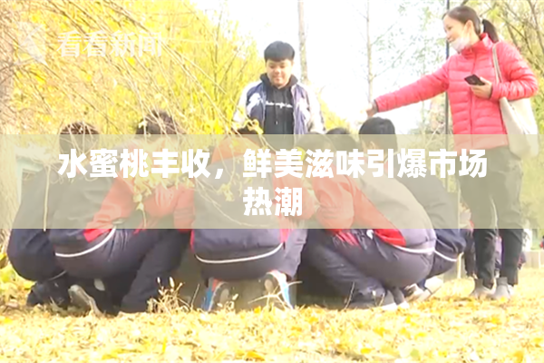 水蜜桃丰收，鲜美滋味引爆市场热潮
