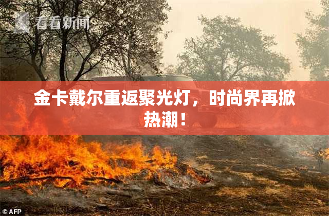 金卡戴尔重返聚光灯，时尚界再掀热潮！