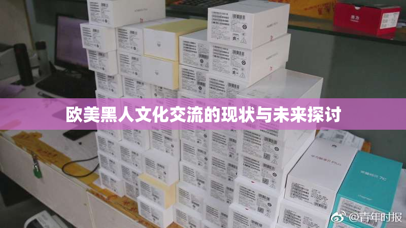欧美黑人文化交流的现状与未来探讨
