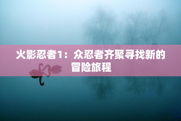 火影忍者1：众忍者齐聚寻找新的冒险旅程