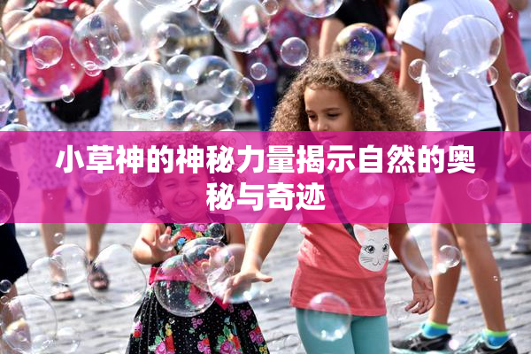 小草神的神秘力量揭示自然的奥秘与奇迹