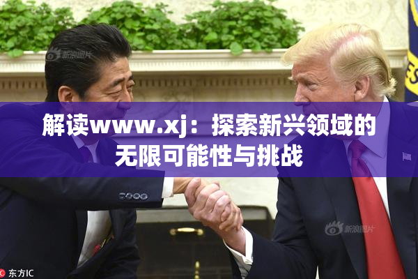 解读www.xj：探索新兴领域的无限可能性与挑战