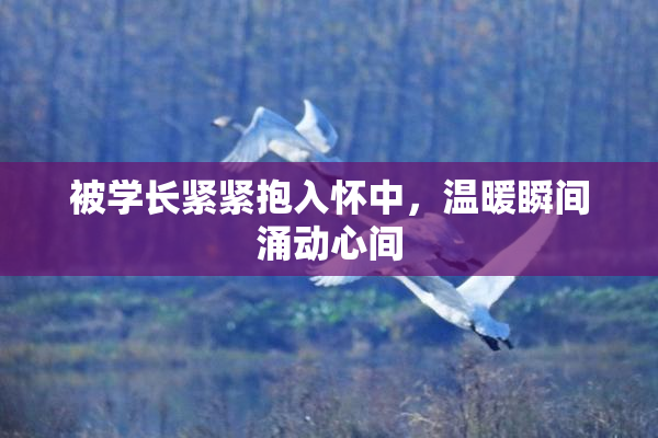 被学长紧紧抱入怀中，温暖瞬间涌动心间