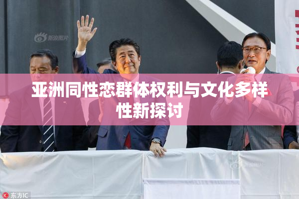 亚洲同性恋群体权利与文化多样性新探讨