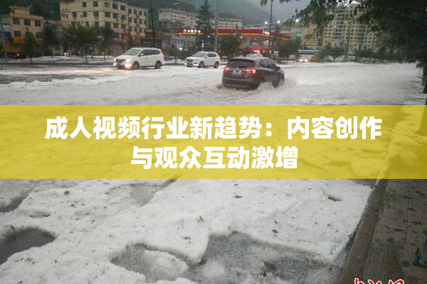 成人视频行业新趋势：内容创作与观众互动激增