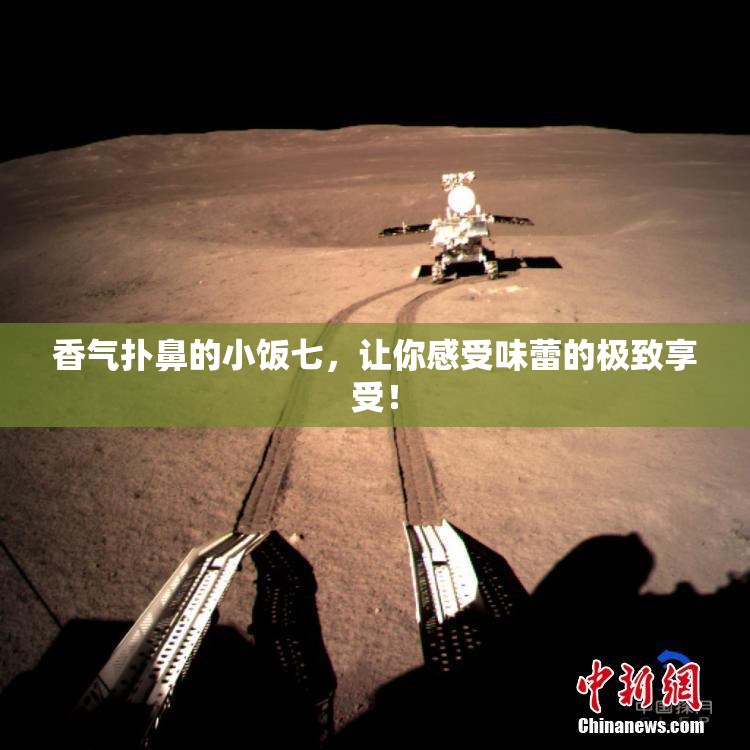 香气扑鼻的小饭七，让你感受味蕾的极致享受！