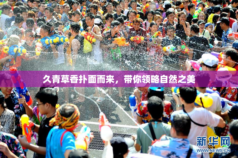 久青草香扑面而来，带你领略自然之美
