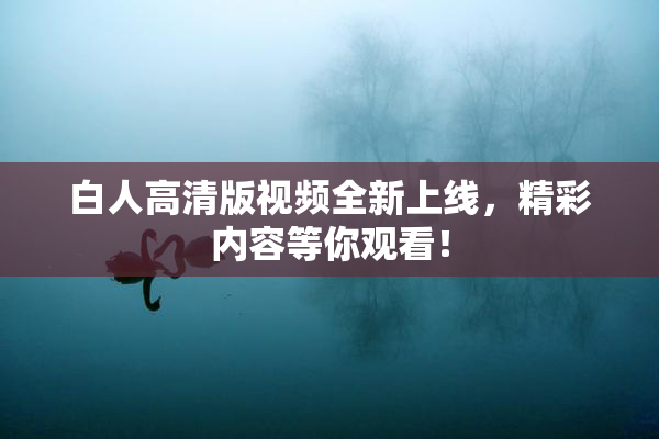 白人高清版视频全新上线，精彩内容等你观看！