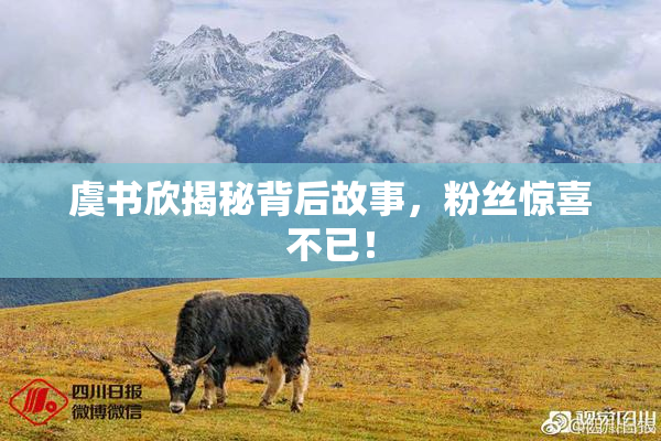 虞书欣揭秘背后故事，粉丝惊喜不已！