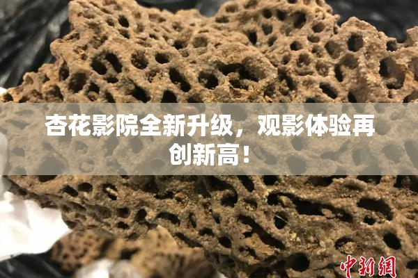 杏花影院全新升级，观影体验再创新高！