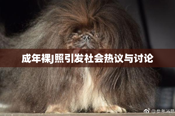 成年裸J照引发社会热议与讨论