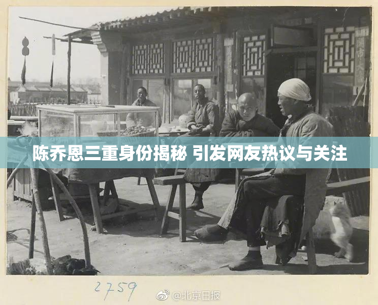 陈乔恩三重身份揭秘 引发网友热议与关注