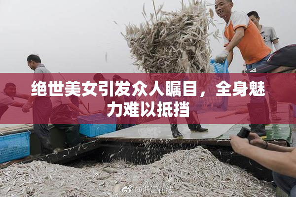 绝世美女引发众人瞩目，全身魅力难以抵挡