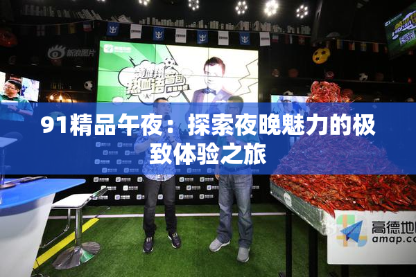 91精品午夜：探索夜晚魅力的极致体验之旅