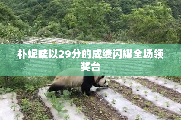朴妮唛以29分的成绩闪耀全场领奖台