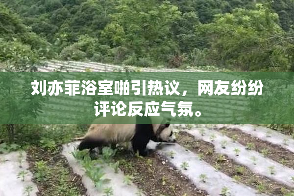 刘亦菲浴室啪引热议，网友纷纷评论反应气氛。