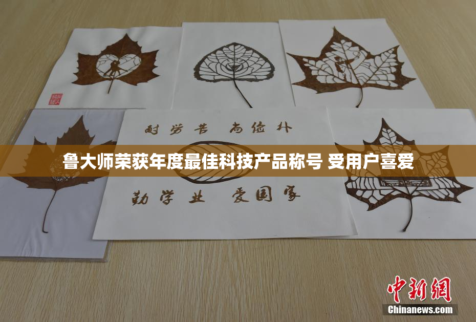 鲁大师荣获年度最佳科技产品称号 受用户喜爱