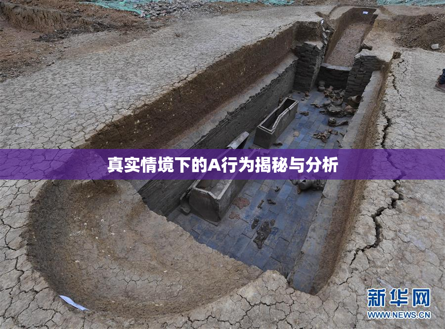 真实情境下的A行为揭秘与分析