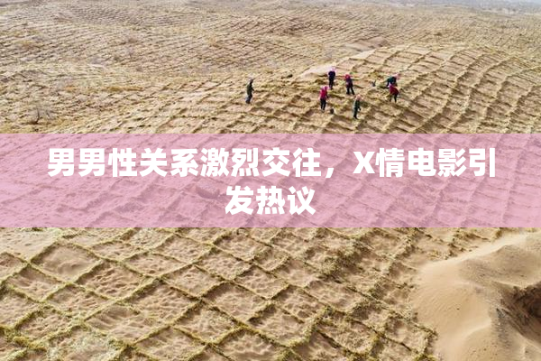 男男性关系激烈交往，X情电影引发热议
