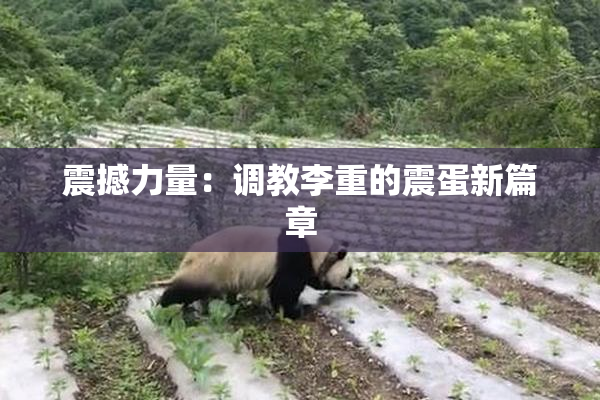 震撼力量：调教李重的震蛋新篇章