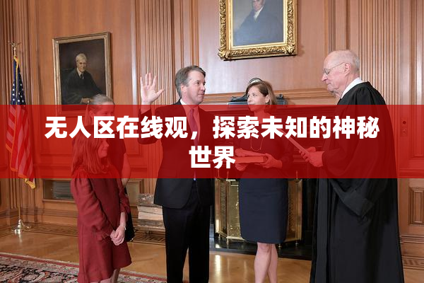 无人区在线观，探索未知的神秘世界