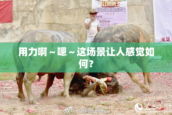 用力啊～嗯～这场景让人感觉如何？