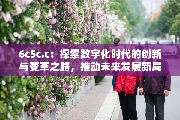 6c5c.c：探索数字化时代的创新与变革之路，推动未来发展新局面