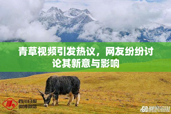 青草视频引发热议，网友纷纷讨论其新意与影响