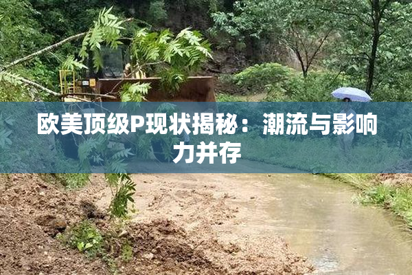 欧美顶级P现状揭秘：潮流与影响力并存