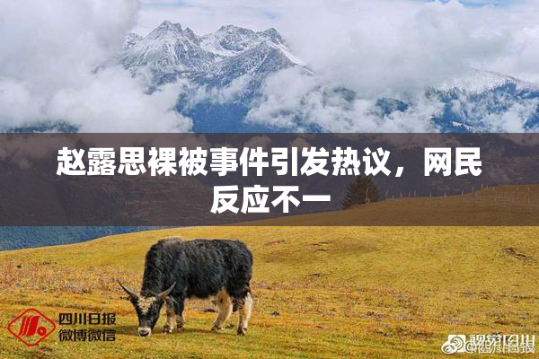 赵露思裸被事件引发热议，网民反应不一