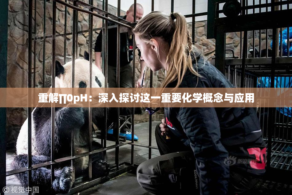 重解∏0pH：深入探讨这一重要化学概念与应用