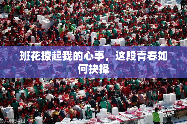 班花撩起我的心事，这段青春如何抉择